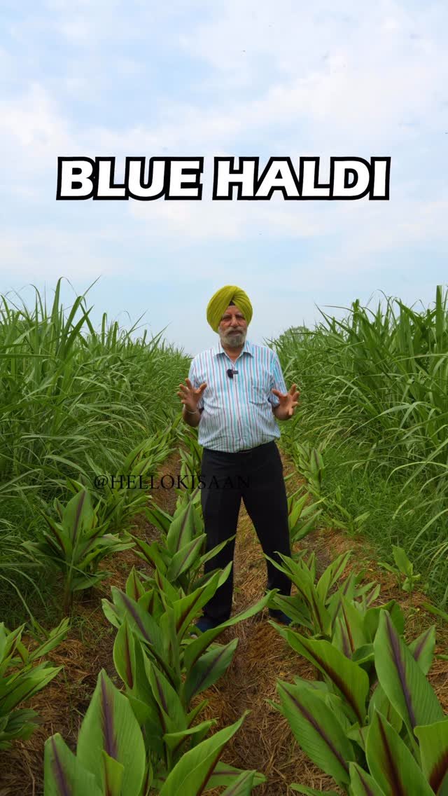 hellokisaan 게시물 이미지: दुनिया का सबसे अनोखा मॉडल #hellokisaan...