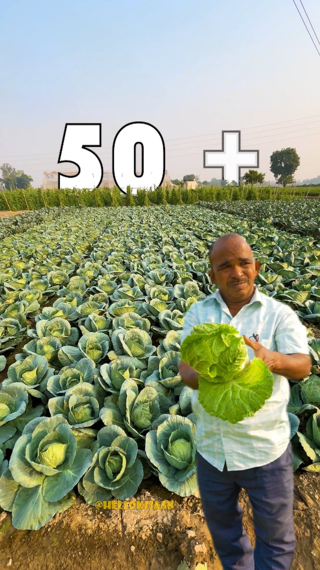 hellokisaan 게시물 이미지: 50 से ज्यादा फसल - सीधे फाइव स्टार होटल में...