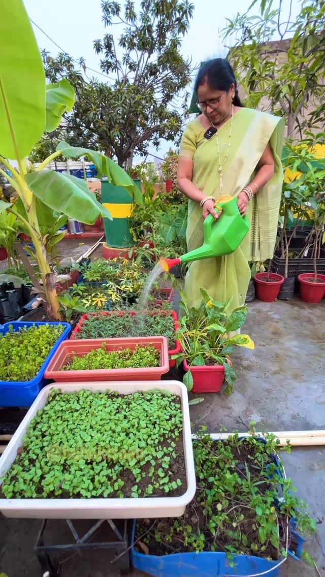 hellokisaan 게시물 이미지: घर का पूरा फल सब्जी 100 मीटर छत पर...