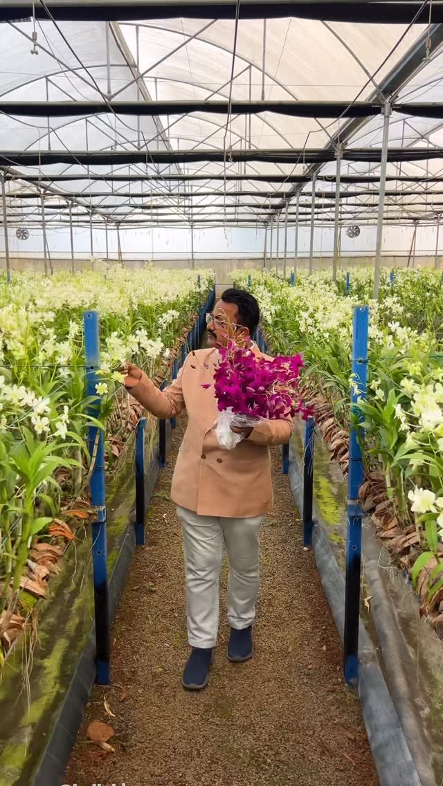 hellokisaan 게시물 이미지: हवा में जड़ वाला फूल #hellokisaan...