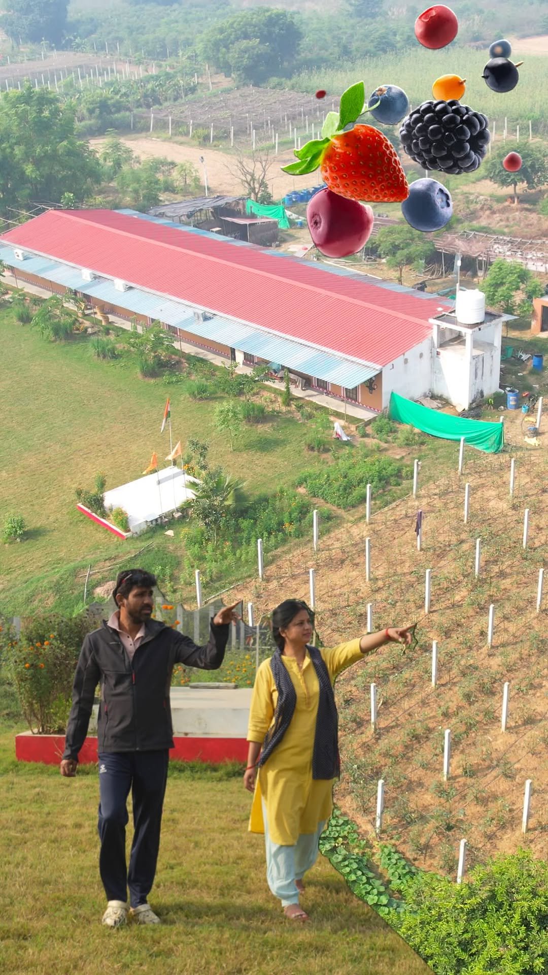 hellokisaan 게시물 이미지: पति पत्नी के जोड़े ने खेती का रूप बदल डाला...