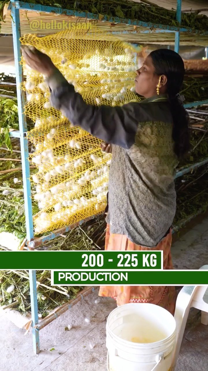 hellokisaan 게시물 이미지: कीड़े - पत्ते - सुनहरा अंडा #hellokisaan...