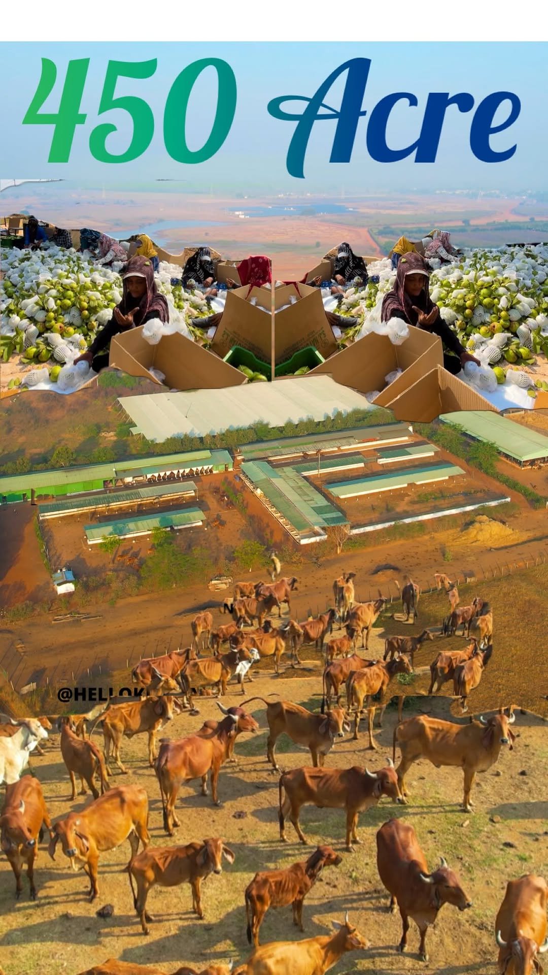 hellokisaan 게시물 이미지: 450 एकड़ का भारत के सबसे बड़े फार्म में से...