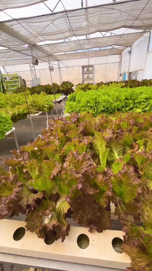 hellokisaan 게시물 이미지: हाईटेक भविष्य वाला खाना #hellokisaan...