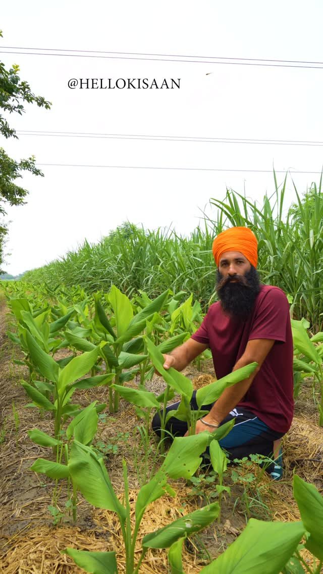 hellokisaan 게시물 이미지: किसान Engineer से कम नहीं #hellokisaan...