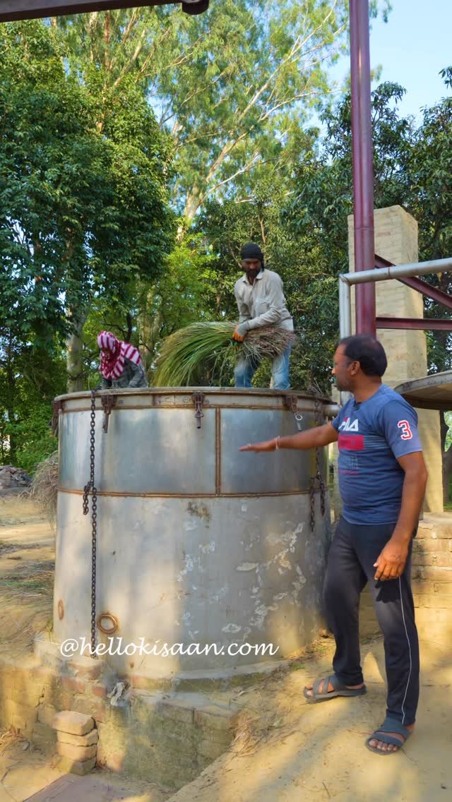 hellokisaan 게시물 이미지: लेमन ग्रास के खेती ने मोज कर डाली #hellokisaan...