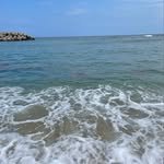 matricaria_217 프로필 사진