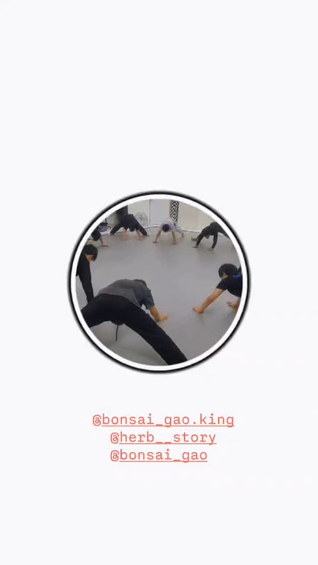 herb__story 게시물 이미지: 주짓수일상
#주짓수이모#길고양이...