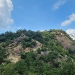 fin_ddb 프로필 사진