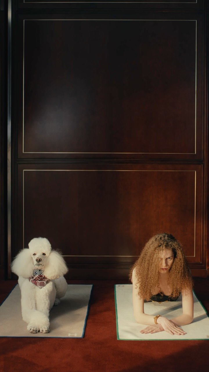 hermes 게시물 이미지: 7:34 am – Breathe in and out 🐩 🧘 The Collier...