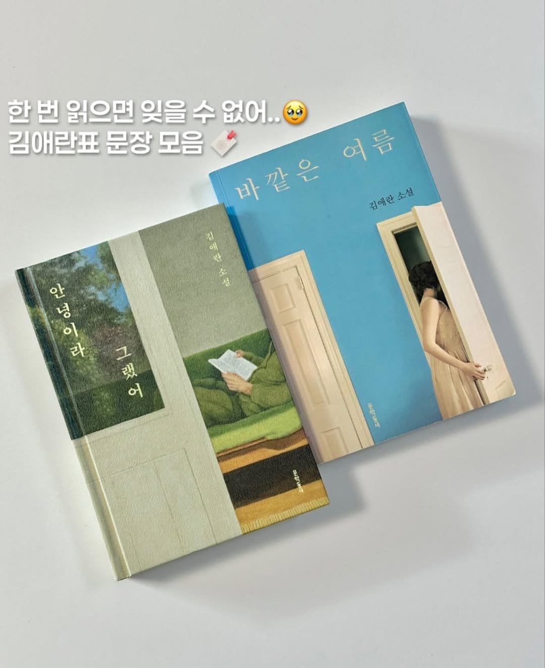 Photo by 휴잇, 독서 일상☕️ on December 10, 2025. May be an image of book, magazine and text that says '한 한번 번 읽으면 잊을 수 없어.. 김애란표 문장 모음 여름 바깥은 바 김애란 김영란소설 소설 김 애 만 한 소 설 안 영 이 라 ユ財の 그 랬 어 ซมยนตรี'.