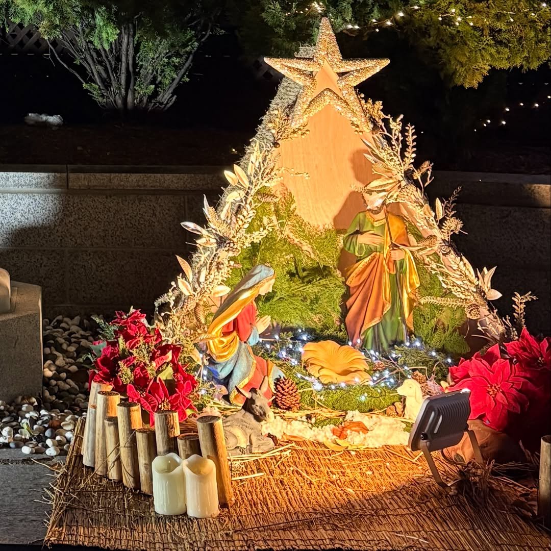 Photo by 주해 on December 24, 2025.