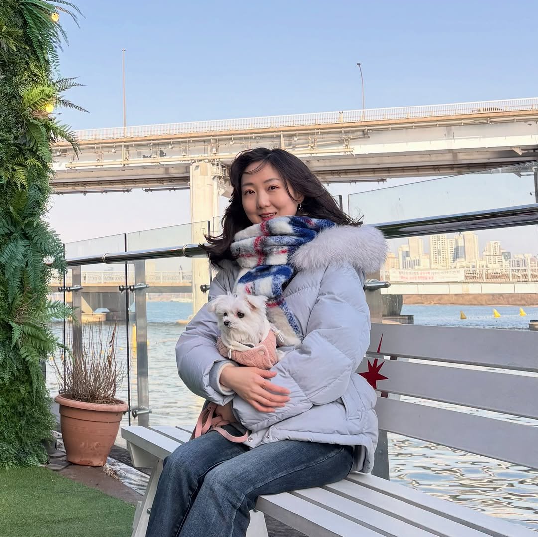 Photo by 주해 on February 20, 2026. May be an image of Norwich terrier, Bedlington terrier, Maltese, the Brooklyn Bridge, park and text.