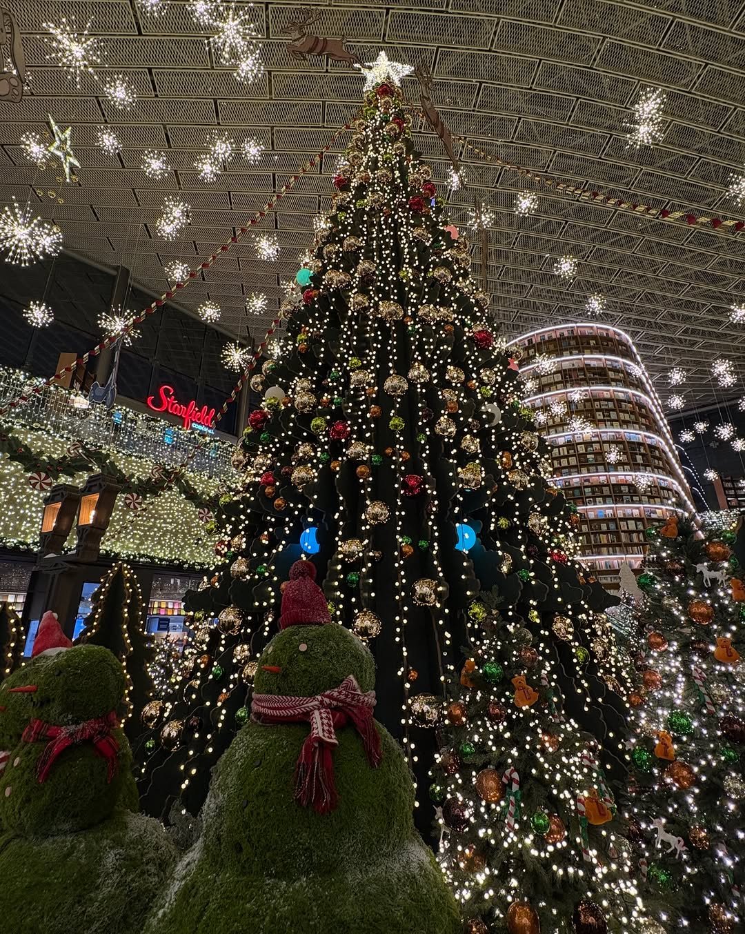 Photo by 주해 on November 17, 2025.