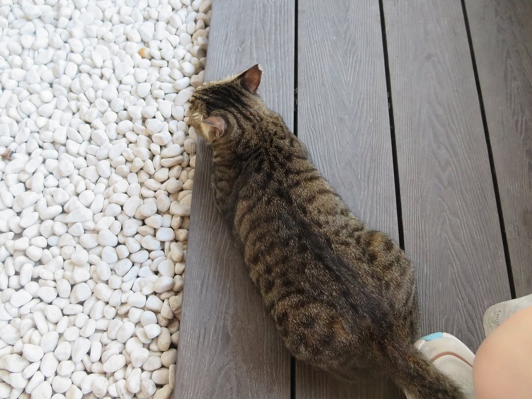 Photo by 주해 on November 07, 2025.