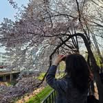 hey_dodgee 인스타그램 프로필 사진