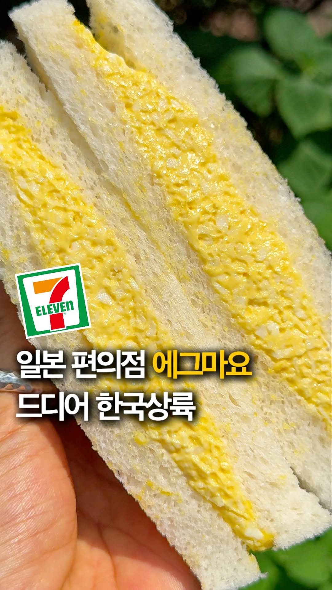 hey_jihye__ 게시물 이미지: 일본에서 먹던 엄청나게 부드럽고 고소한 그 에그마요샌드 드디어 한국에 나옴🫢‼️...