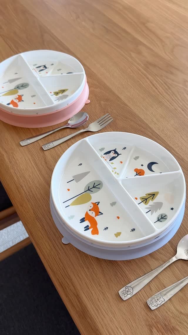 heybrittinirae 게시물 이미지: Non-toxic dishes for the kids that also comes...