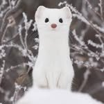 im_noname__ 프로필 사진