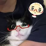 _dini39 프로필 사진