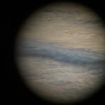 thsgus 프로필 사진