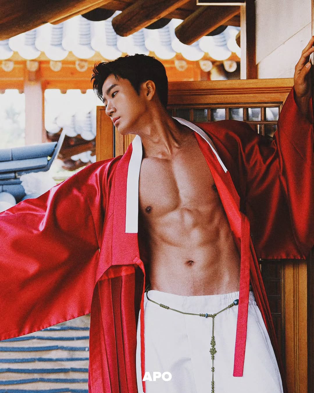 Photo by Jw on November 02, 2025. May be an image of body building, martial arts, poster, bath robe, magazine and text that says 'APO'.