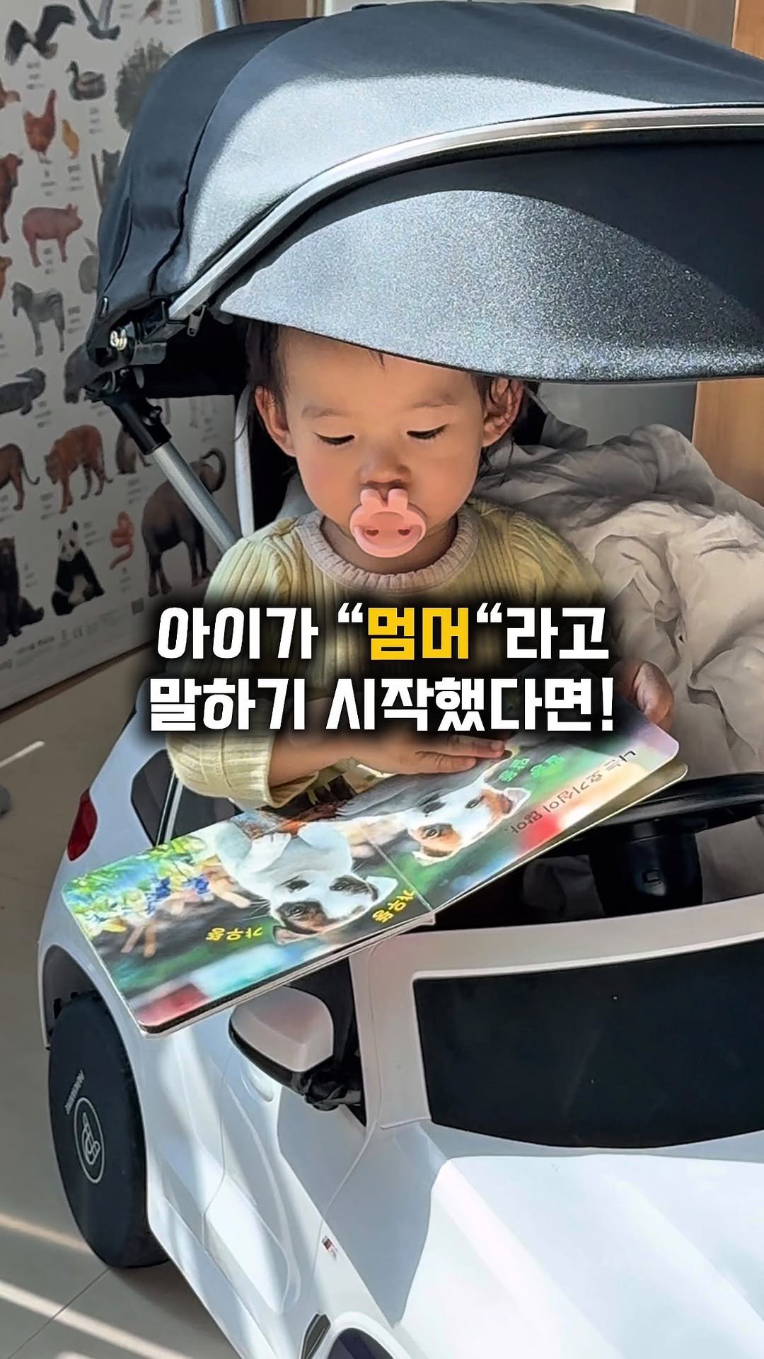 hhappy_ayola 게시물 이미지: 🐎3만원대 세이펜 통통 자연관찰 전집
✅댓글로 “핫딜” 남겨주시면 핫딜 링크...