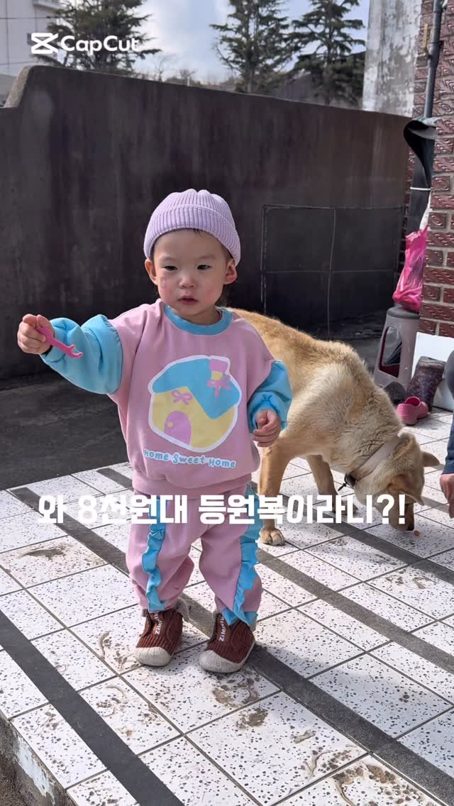 hhappy_ayola 게시물 이미지: 🐣갓성비 등원복
✅댓글로 “갓성비” 남겨주시면 미리보기 링크 디엠으로 보내드리고...