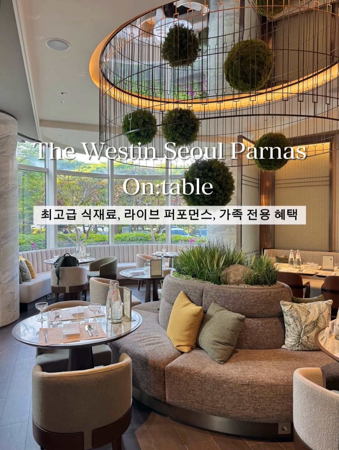 hhh___j_y 게시물 이미지: #광고 5월 가정의달 가족모임 추천장소 !

최고급 식재료와 라이브 퍼포먼스,...
