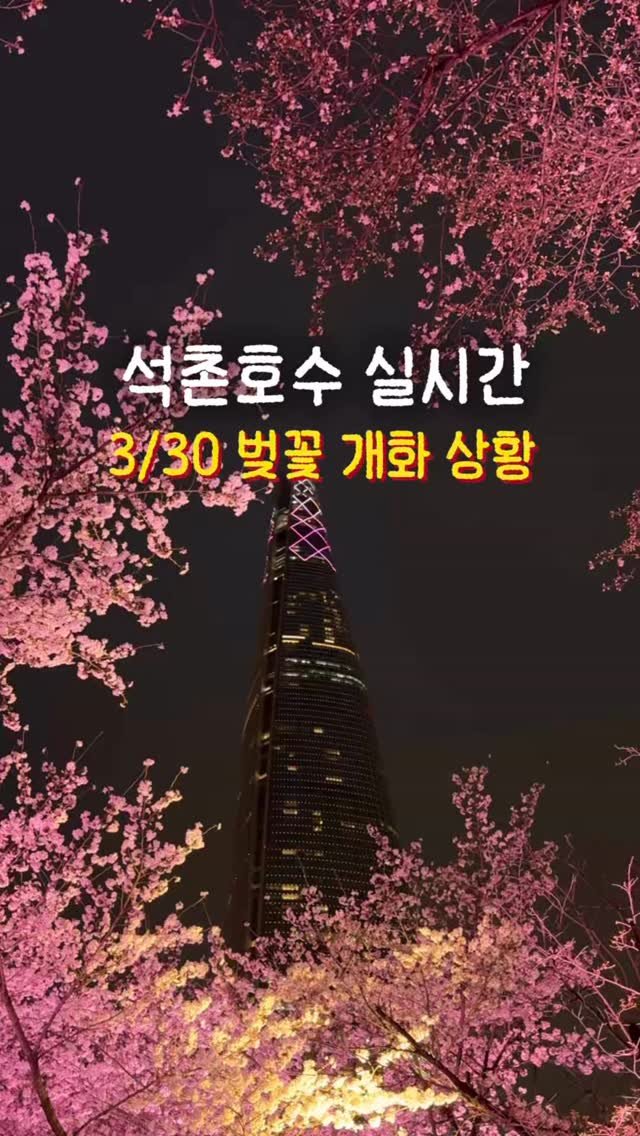 hhh___j_y 게시물 이미지: 🌸3/30 석촌호수 벚꽃 실시간 개화 현황🌸 

어쩜 하루가 다르게 피더니
지금 ...