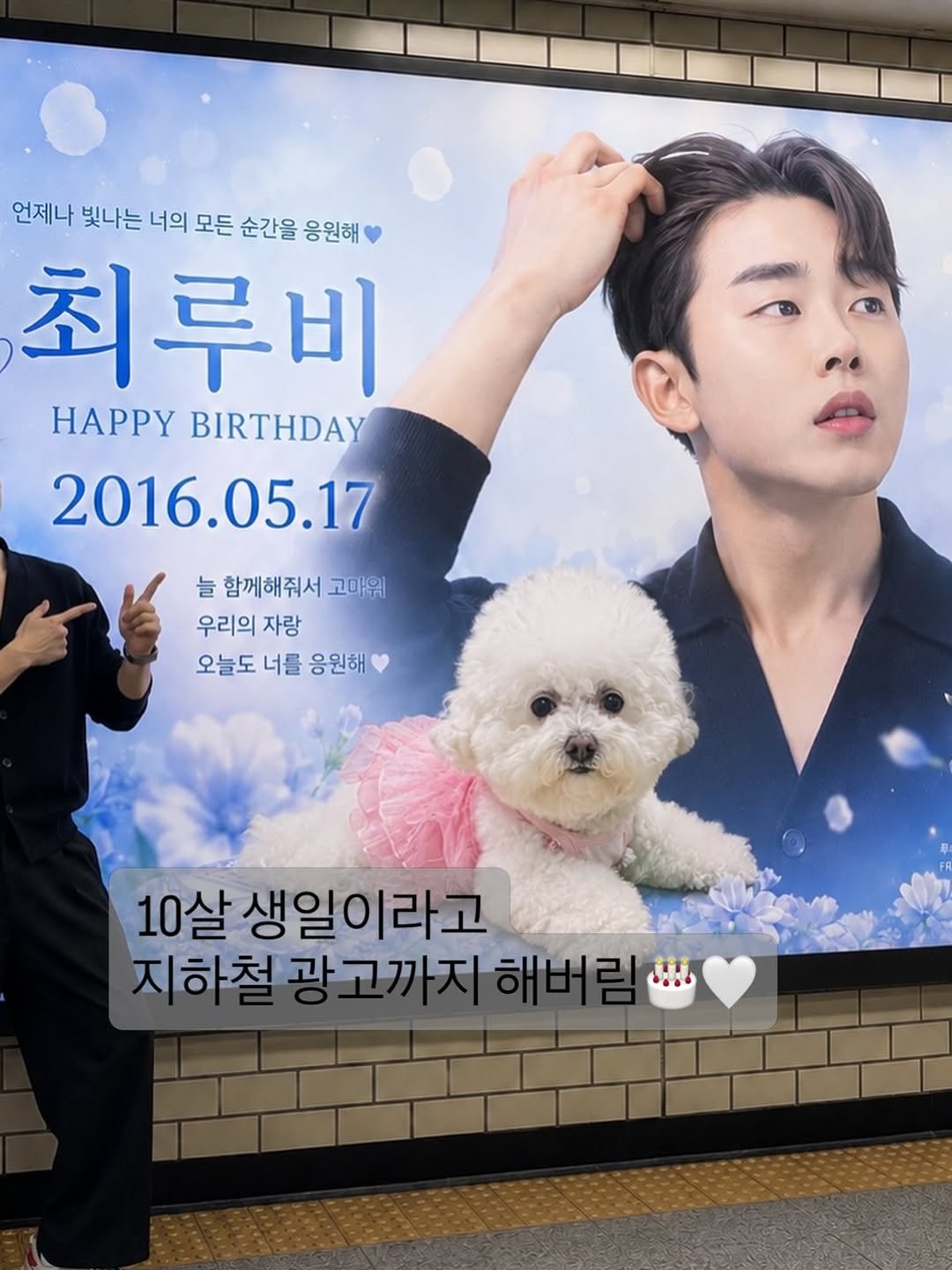 hi_gm2018 게시물 이미지: 루비야 대학까지 가자🐶