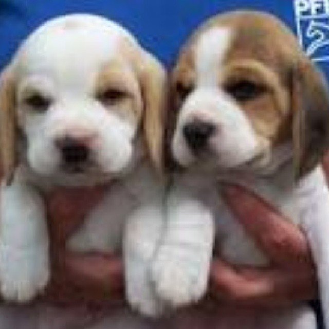 Photo by Kim ely on April 14, 2014.