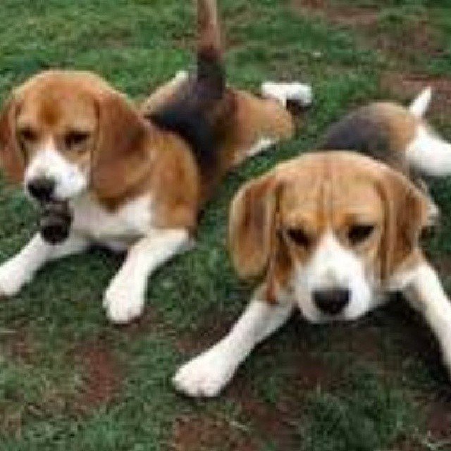 Photo by Kim ely on April 14, 2014.