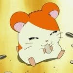 hi_nyamtori 인스타그램 프로필 사진