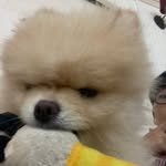 hooooooslife 프로필 사진