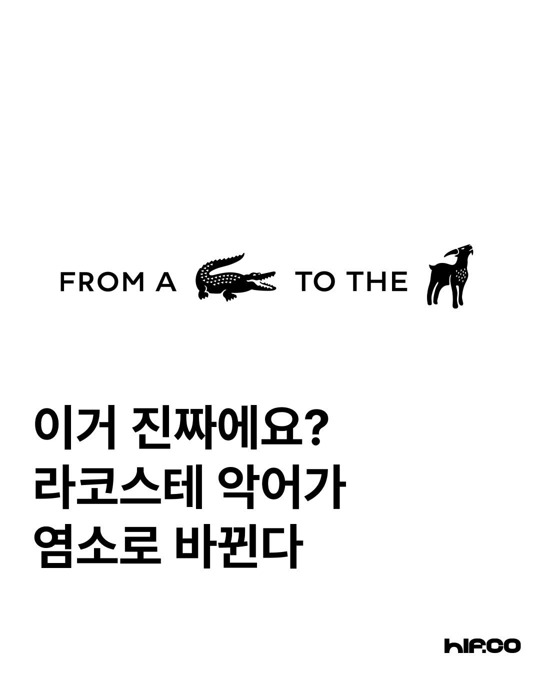 Photo shared by hif on August 26, 2025 tagging @lacoste. May be a cartoon of poster, magazine, book and text that says 'FROM A τo THE 이거 진짜에요? 라코스테 악어가 염소로 바뀐다 hIP.Co'.