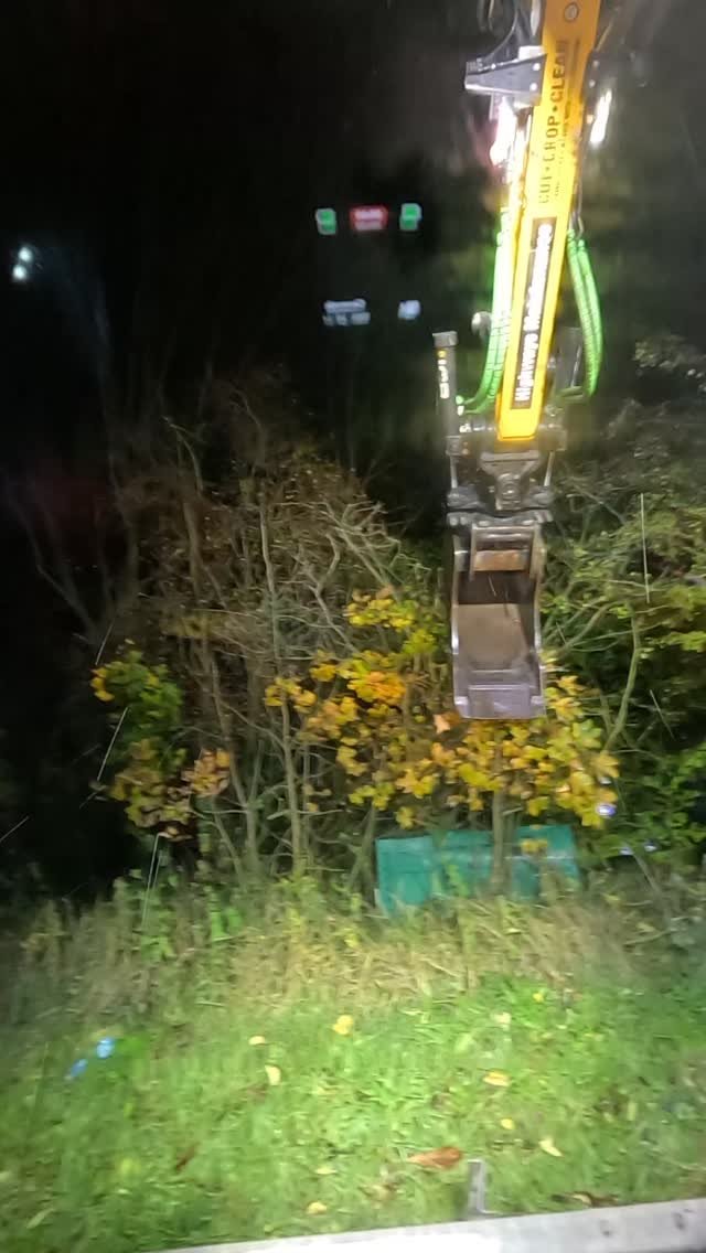 highwayharper 게시물 이미지: The things you find at the side of the...