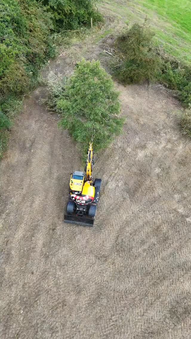 highwayharper 게시물 이미지: Removing trees one snip at a time from the...