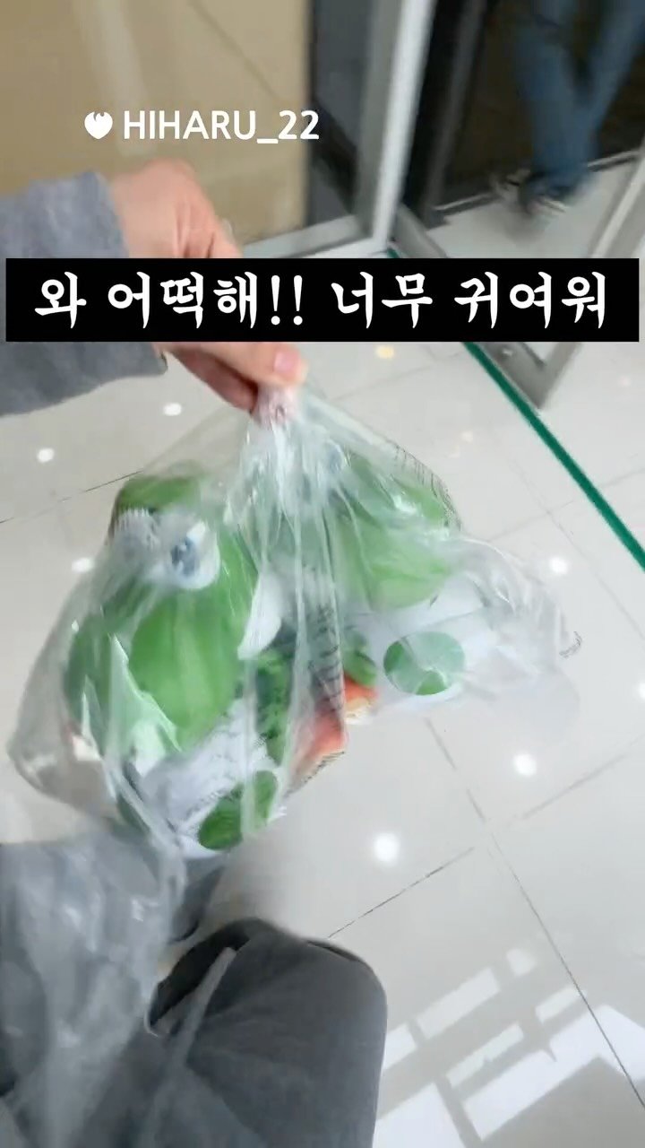 hiharu_22 게시물 이미지: 현시점 가장 핫한 아이템❤️‍🔥

#요시 #요시팝콘통