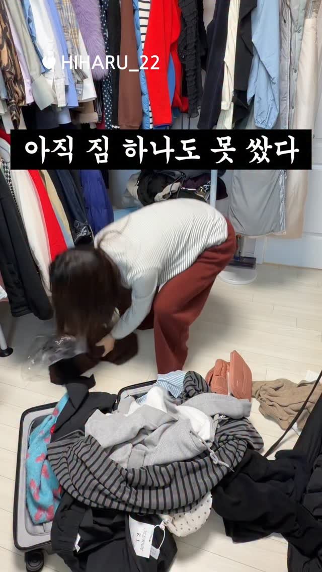 hiharu_22 게시물 이미지: 당일치기로 3개국 여행이 가능하다고?!

#슈퍼마리오갤럭시 #요시 #4월29일극장대개봉