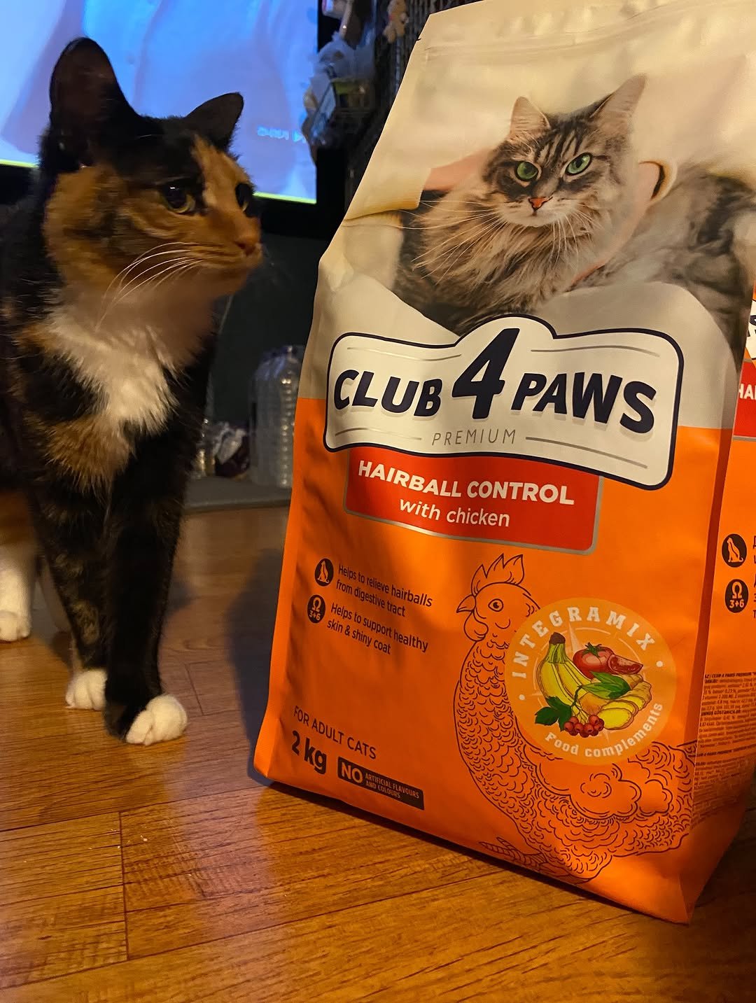 Photo shared by 김초선 on November 17, 2025 tagging @cruisepet.official. May be an image of kitten, tortoiseshell cat, petfood and text that says '주나하서 CLUB4PAWS CLUB4 CLUB PREMIUM 4 PAWS HAIRBALLCONTROL with chicken HAIRBALL CONTROL Otthbbehaballs from Halps Ngestiratract hairballs skin& C하 althy GRAMIX 2kg RADULTCATS FORADULTCATS CATS NO Food Conplarae'.