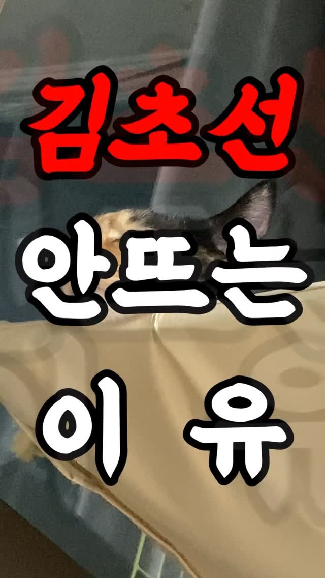 hiimchoseon 게시물 이미지: 간만이야 랜선집사넴덜 #고양이