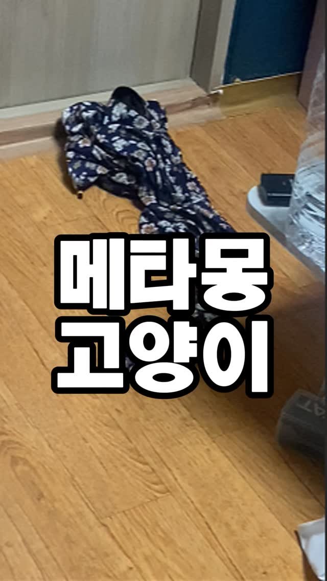 hiimchoseon 게시물 이미지: 간만입니다요 무엇이든 따라하는 김초선 대령합니다