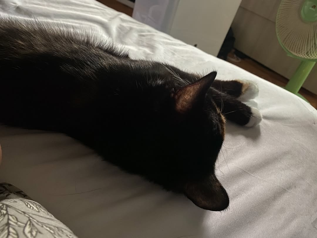 Photo by 김초선 on August 13, 2025.