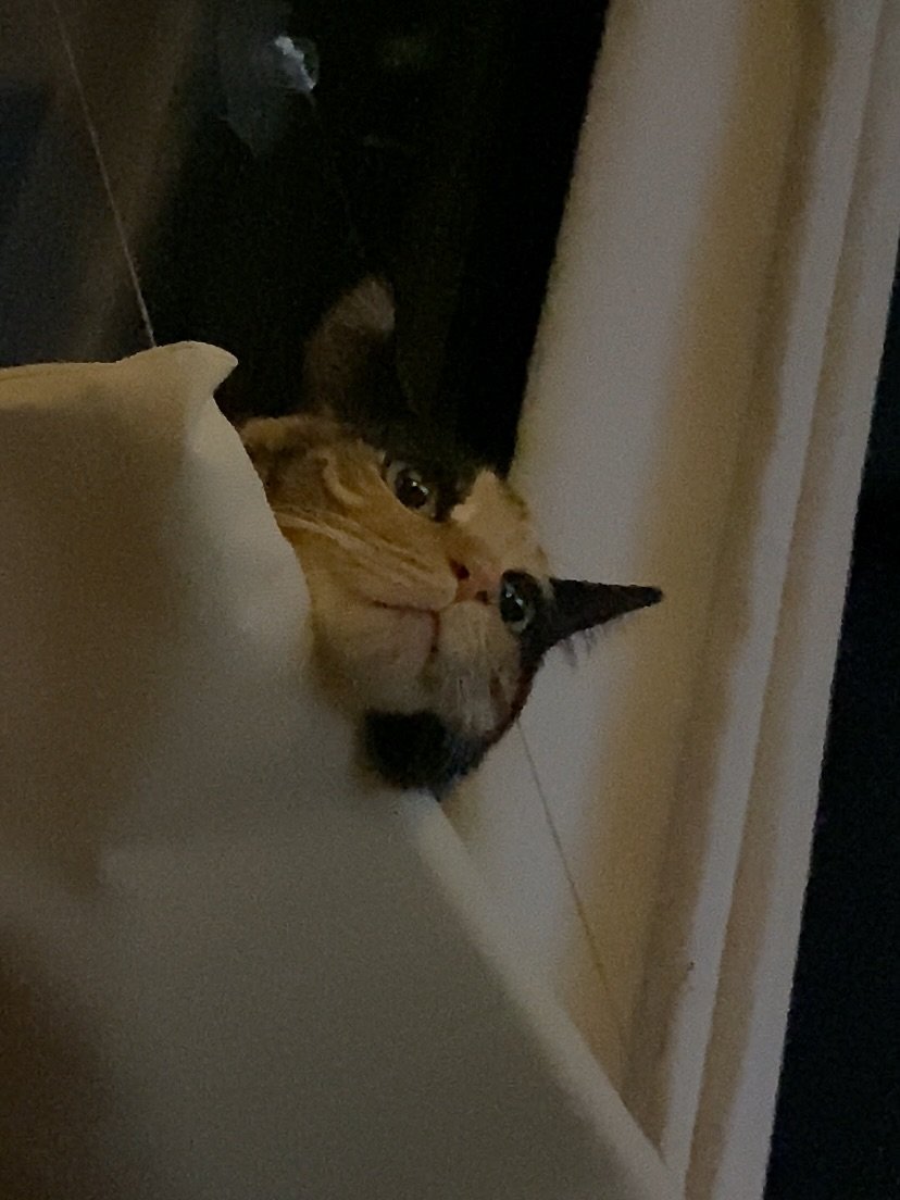 Photo by 김초선 on August 10, 2025.