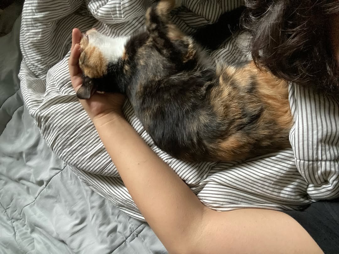 Photo by 김초선 on May 02, 2025.