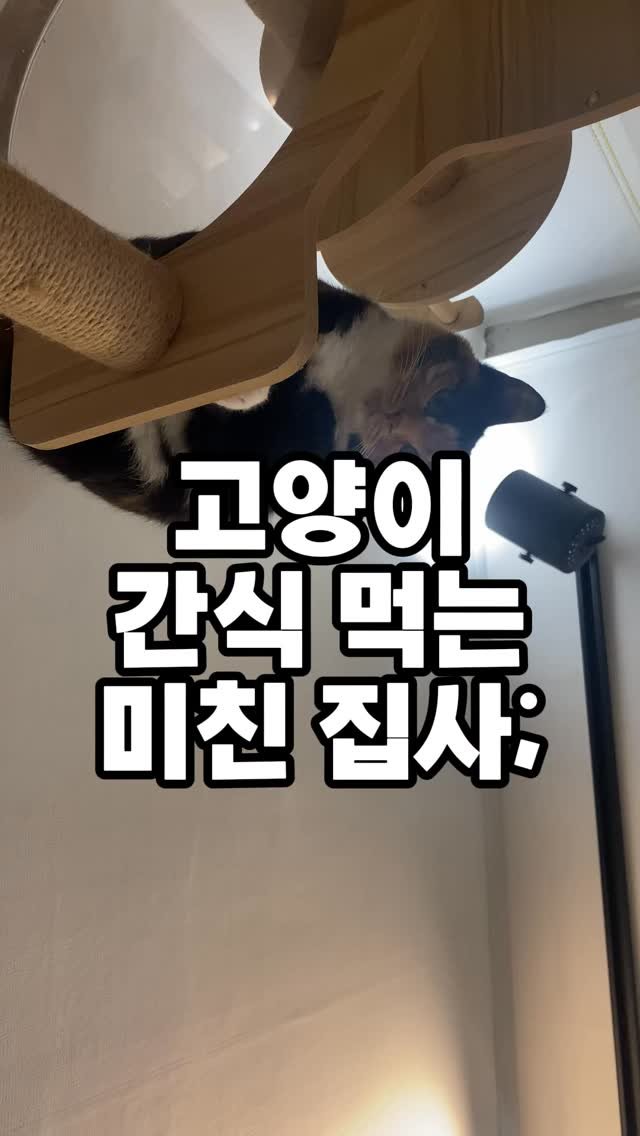 hiimchoseon 게시물 이미지: #광고 #제품제공

냥쌤 촉촉통살 광고를 받았읍니다..
요 까탈쟁이도 너무너무너무...