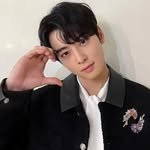 chastar_cha_eun_woo 프로필 사진