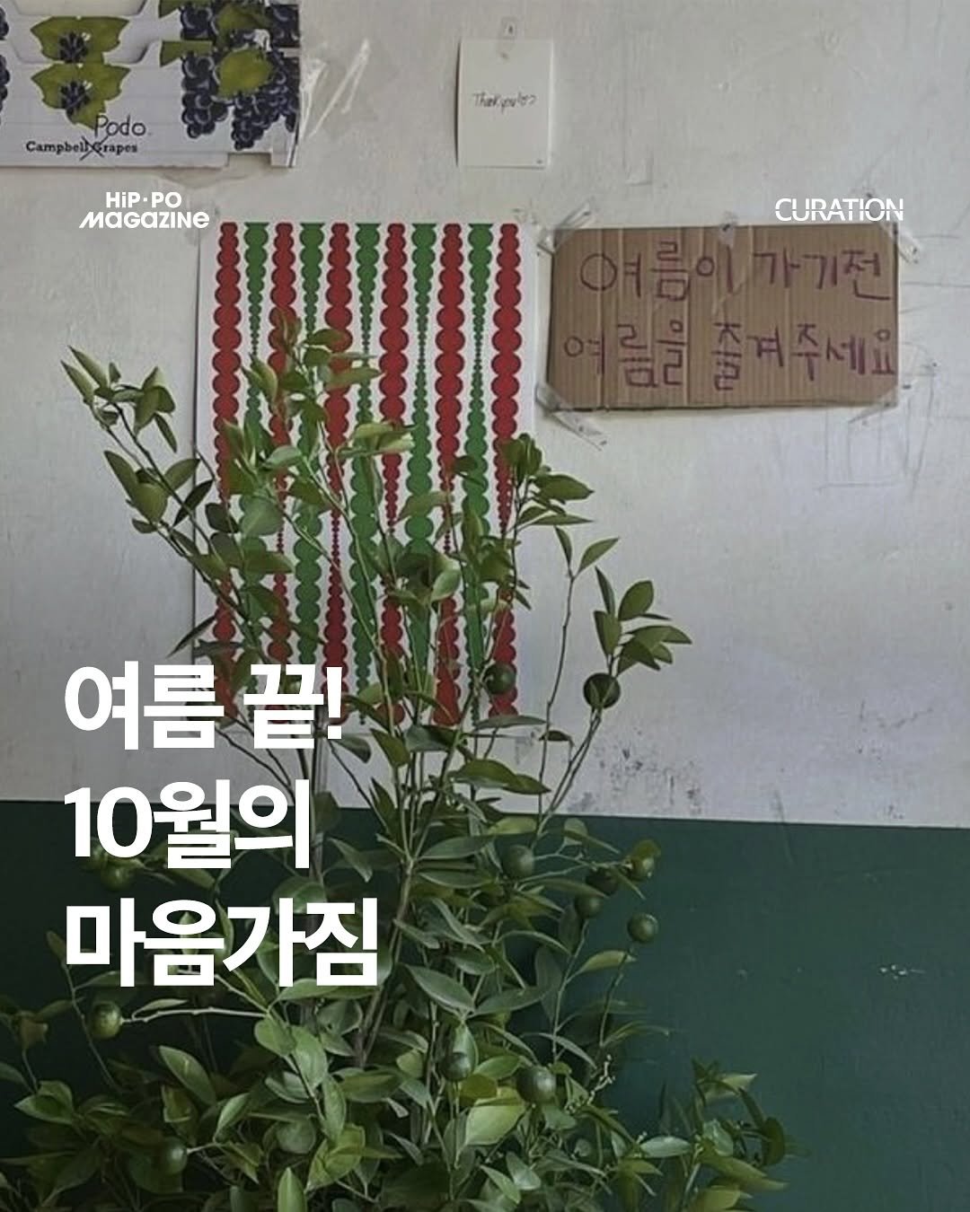 Photo by HIP PO MAGAZINE on September 30, 2025. May be an image of text that says 'campbalPodo Campbeihgrapes Podo. .จย2 HiP. HIP-PO PO MaGAZINE CURATION 여름 여름끝 끝! 10월의 마음가짐'.