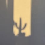 itstrucactus 프로필 사진